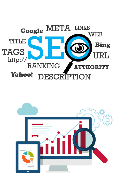 Search Engine Optimization